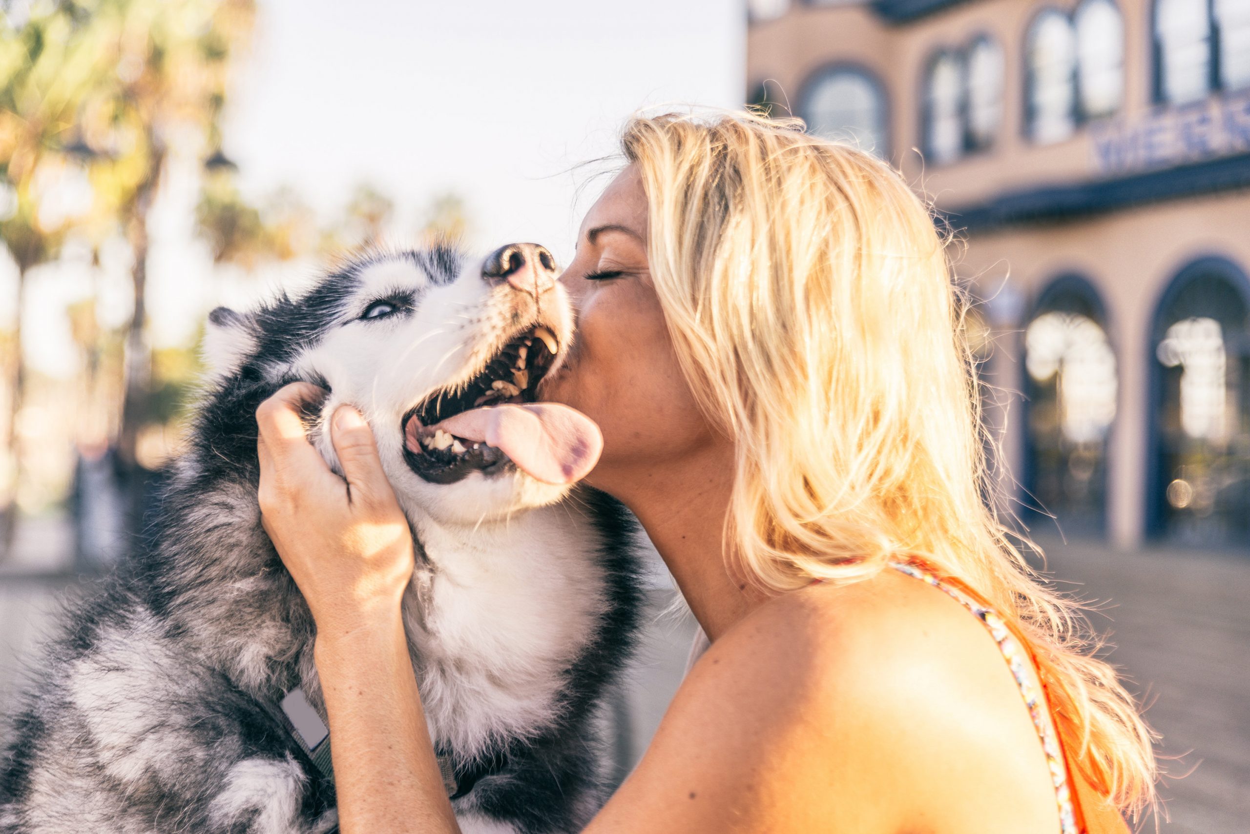 How our pets heal us lady kissing dog image