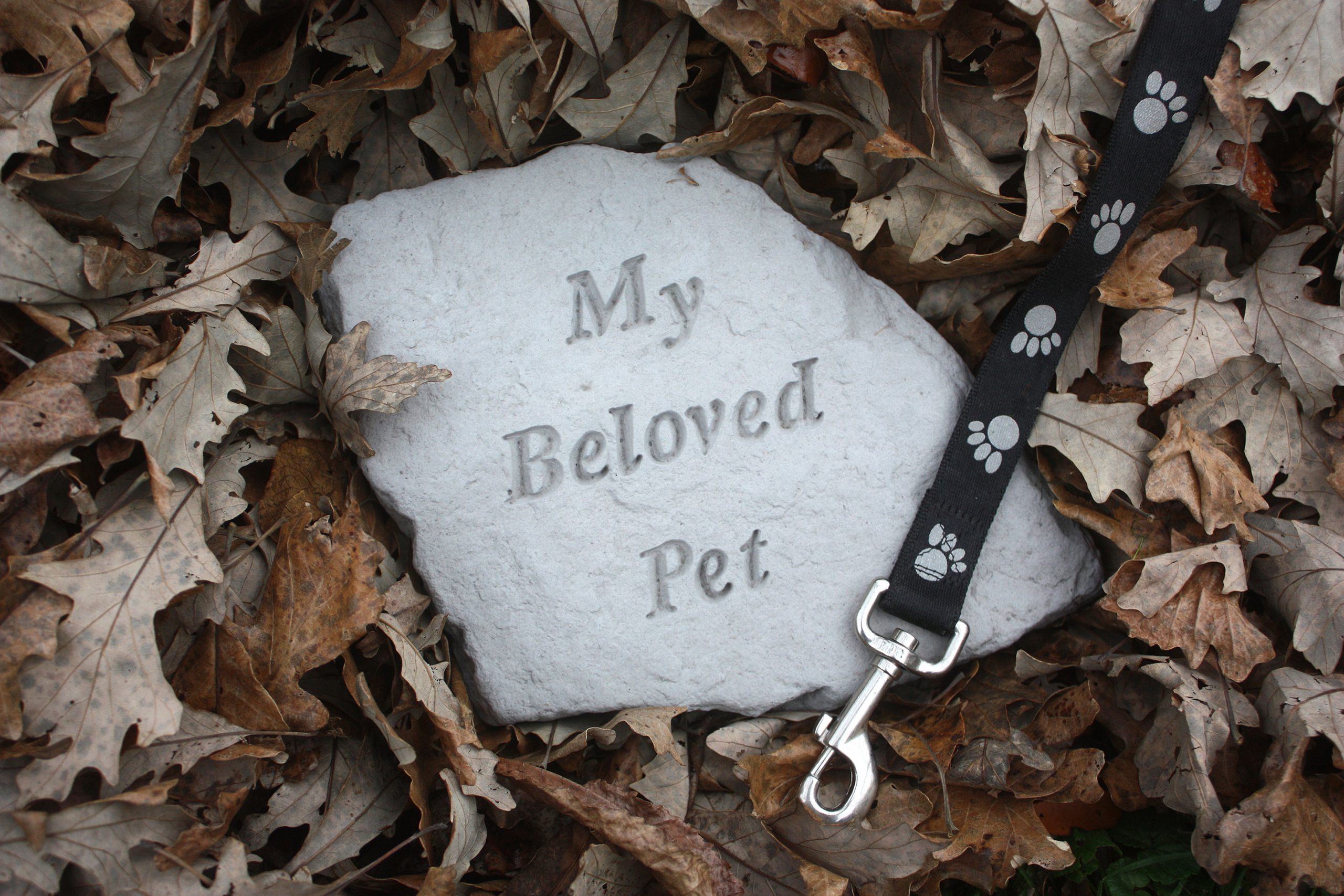 Coping With The Loss Of A Pet