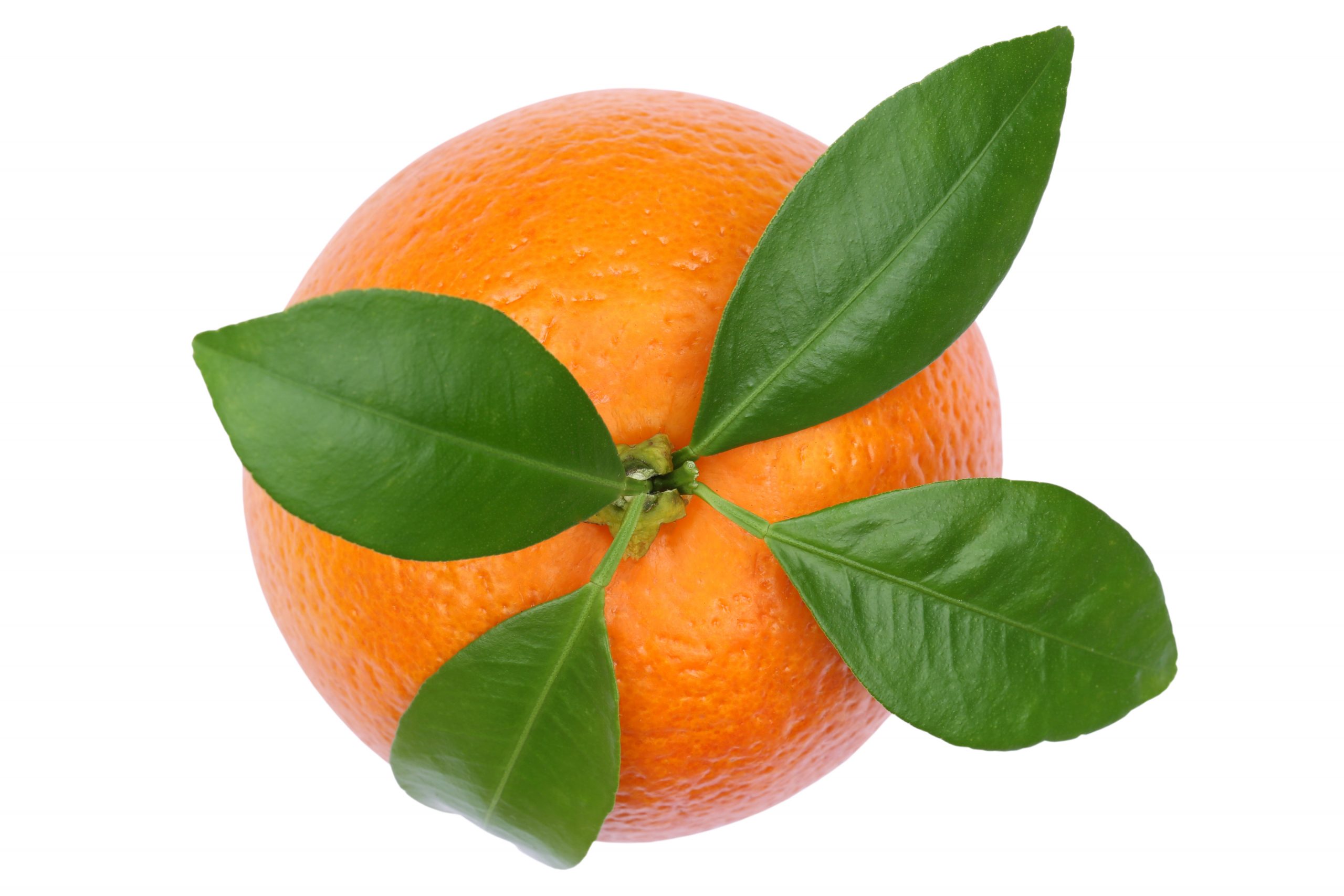 A Beautiful Diet: The Top 5 Beauty Minerals - orange - vitamin c & e